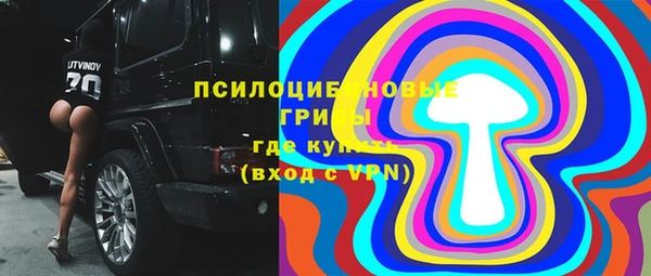 твердый Алексеевка