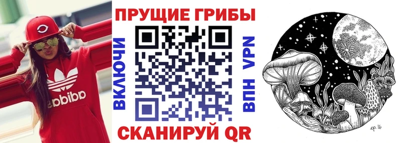 где можно купить наркотик  Верхоянск  МЕГА рабочий сайт  Галлюциногенные грибы мухоморы 